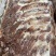 风吹花椒盐排骨（腊肉香肠源头工厂一手货源量大从优）