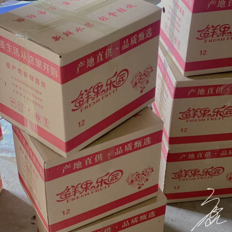正宗秋月梨甜度14➕细腻多汁