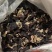 毛木耳（水洗木耳）现货供应