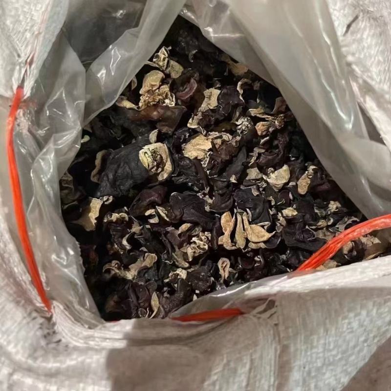 毛木耳（水洗木耳）现货供应