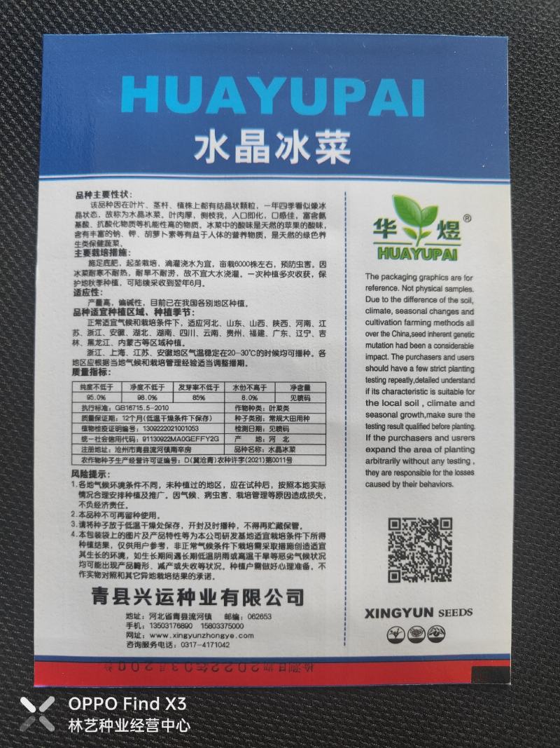 冰菜种子高产量进口优质种子口感清爽冰菜