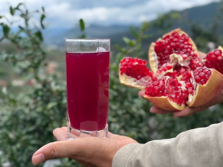 突斯尼软籽石榴果汁制作场景