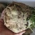 根芹，野菜特菜全国发货，炒肉吃，味道浓郁