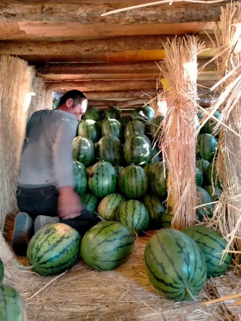 黑龙江佳木斯直根西瓜，大量上市，品质高价钱低，需要联系。