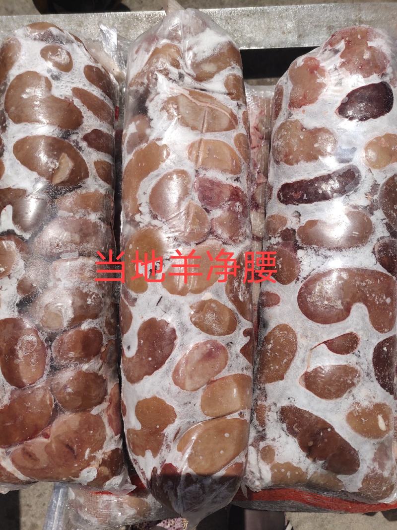 【羊净腰】绵羊的净腰！新鲜速冻！箱装一件五十斤十卷！