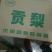 陕西蒲城优质酥梨大量供应，代发全国