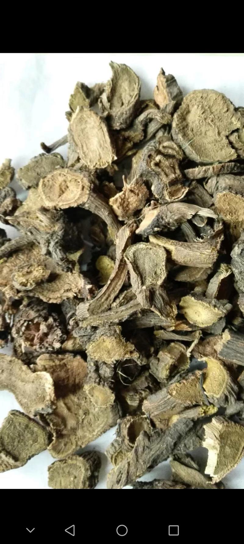 新货大黄大黄片马蹄黄新货大黄包邮有各种