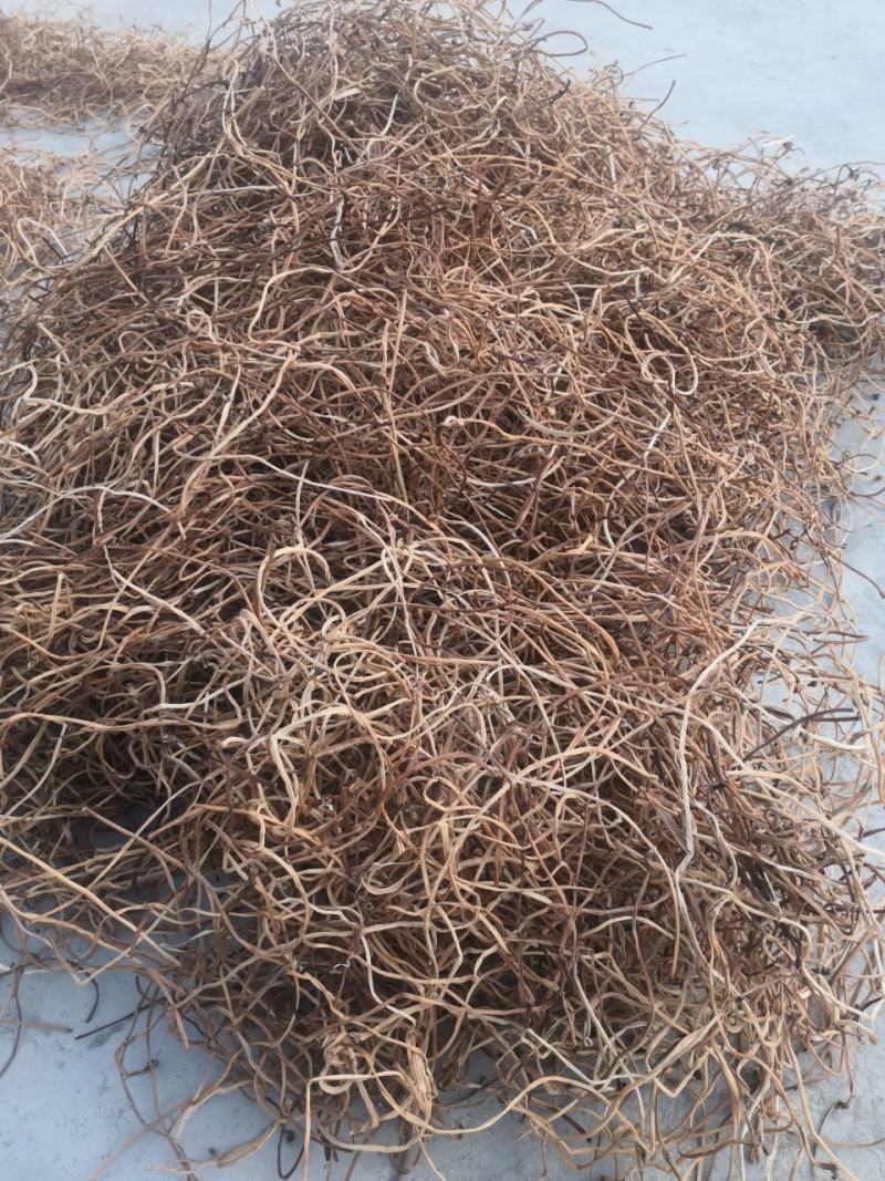 自家红薯即将成熟,现红薯梗可采摘错过不在有,新鲜干货供应