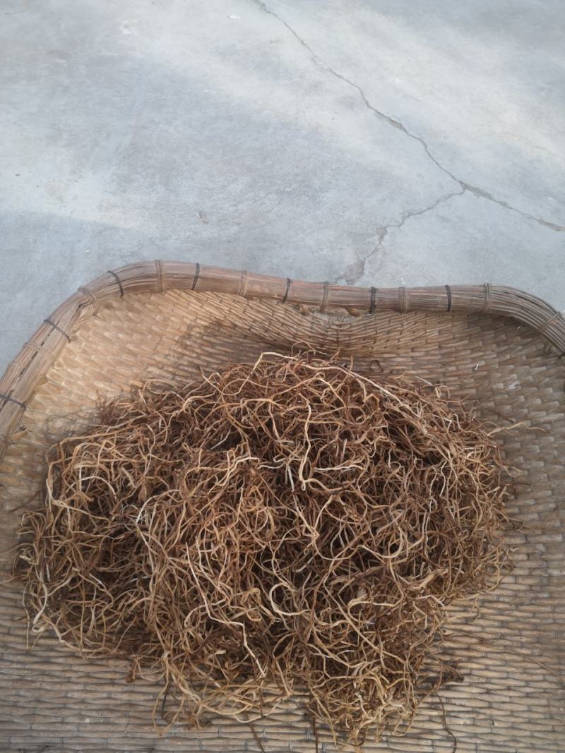 自家红薯即将成熟,现红薯梗可采摘错过不在有,新鲜干货供应