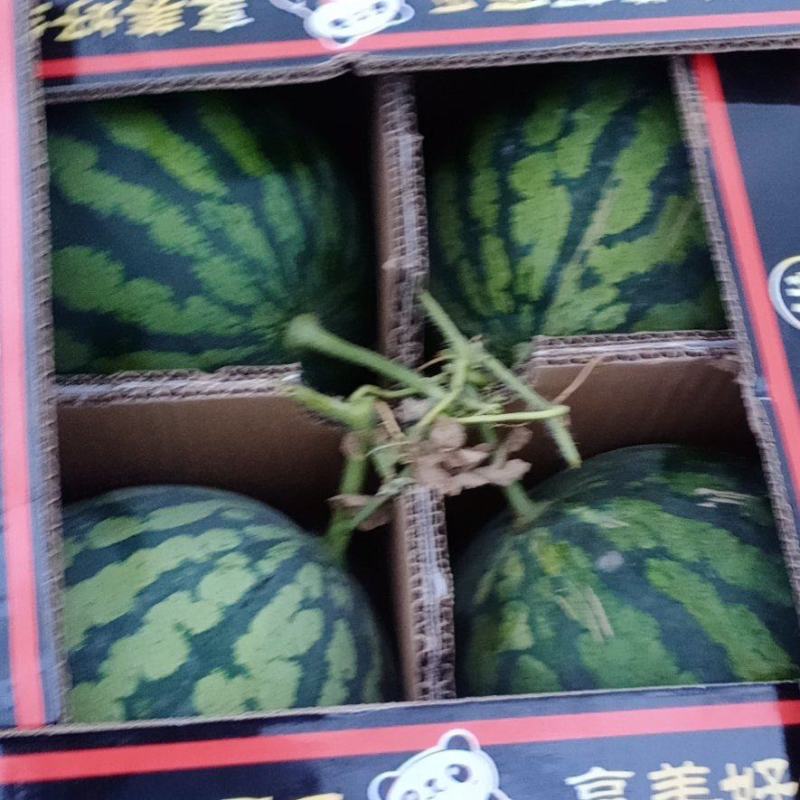 精品美都
