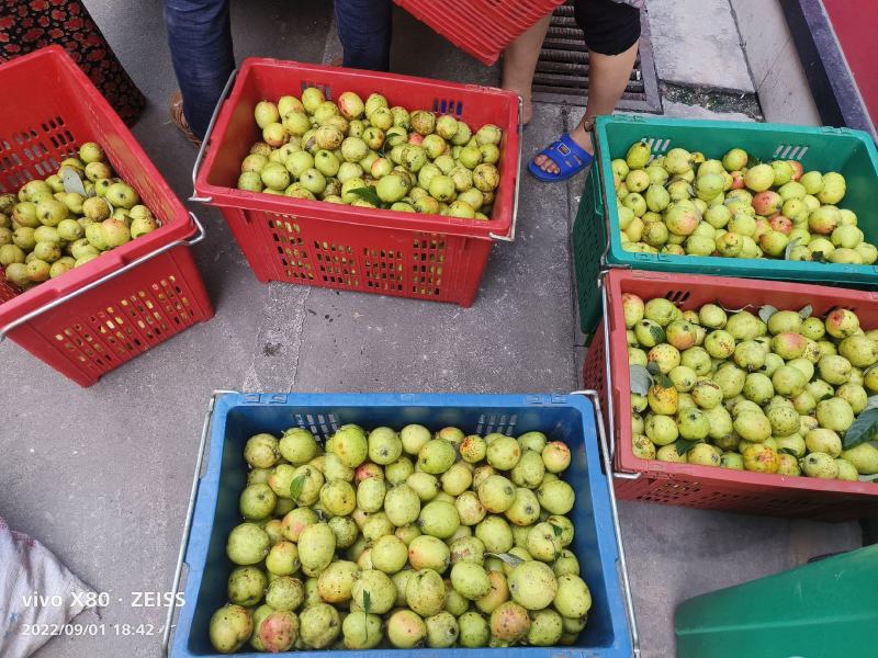 云南正宗酸多一，来自大自然无污染，放心食用。