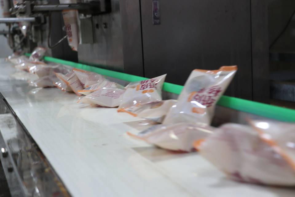 现代化青皮核桃加工生产线