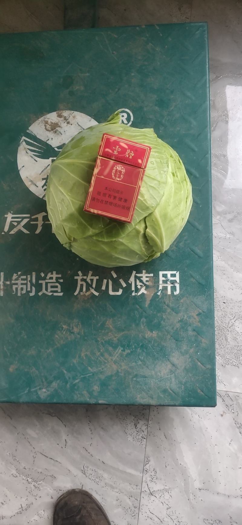 苞菜