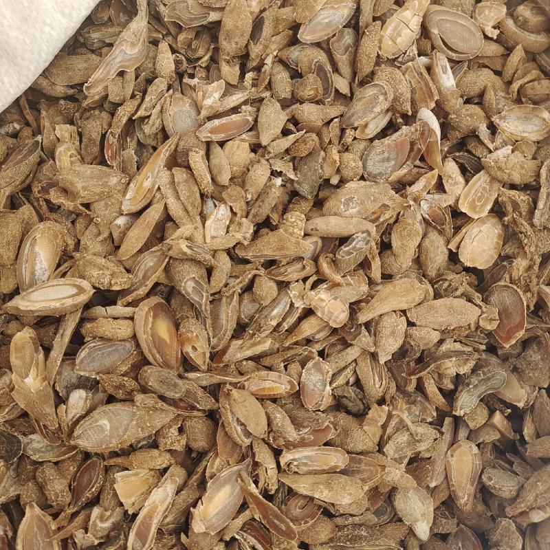 郁金广郁金斜片统货实物拍摄产地广西地道药材