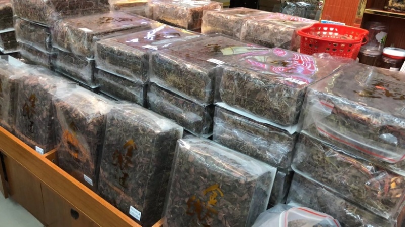 金线莲，台湾红霞金线莲，无碎金线莲，有碎金线莲，大货批发