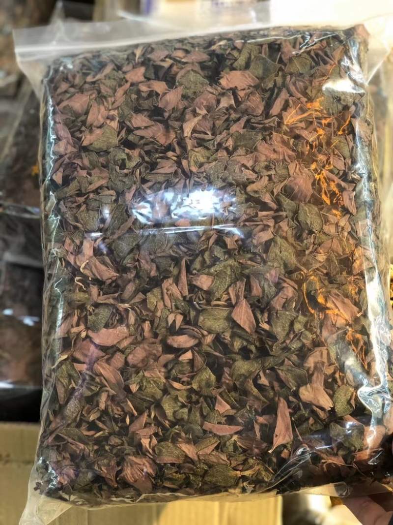 金线莲，台湾红霞金线莲，无碎金线莲，有碎金线莲，大货批发