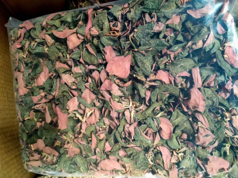 金线莲，台湾红霞金线莲，无碎金线莲，有碎金线莲，大货批发
