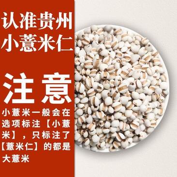 【贵州兴仁发货】小薏米道地药材小薏米不发霉药用薏仁米包邮