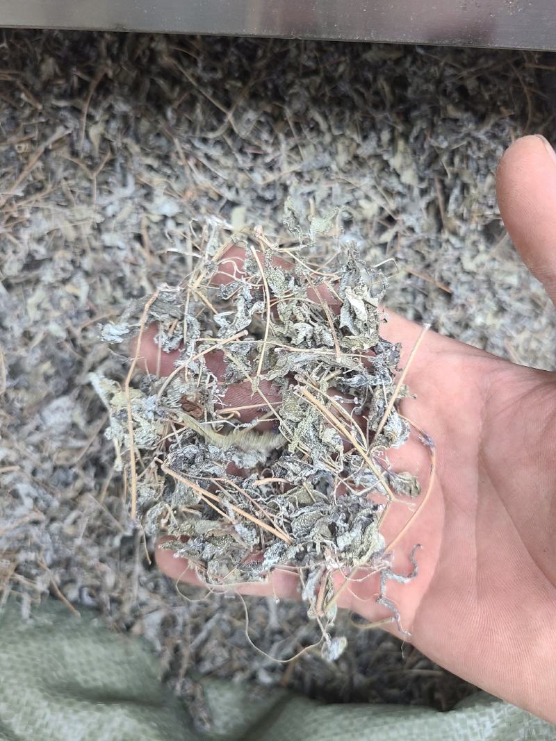 溪黄草溪黄茶全干无硫