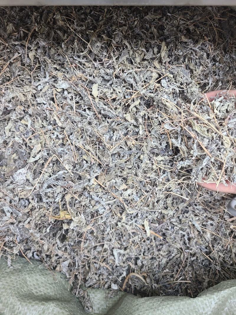溪黄草溪黄茶全干无硫