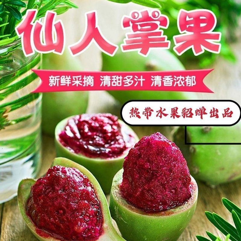 仙人掌果新鲜上市清甜多汁清香浓郁欢迎全国客户订购