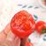 新鲜圣女果小番茄大量上市酸甜可口主营电商超市