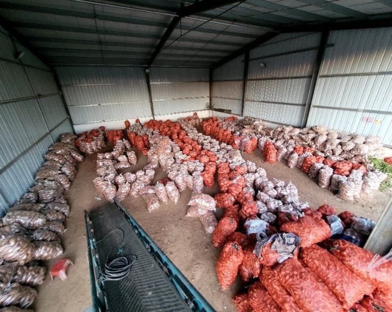 加工厂精品大头，价格稳定，市场货源充足……