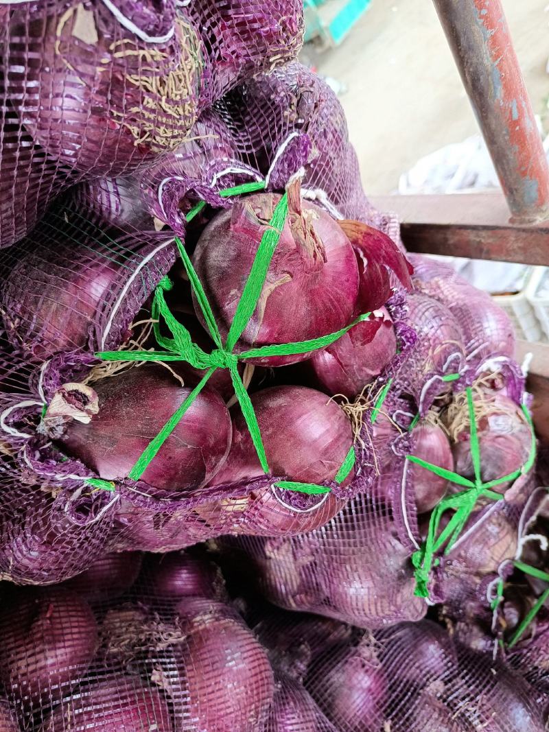 我是河北省邯郸市永年区紫洋葱市场，大量有货，需要联系我