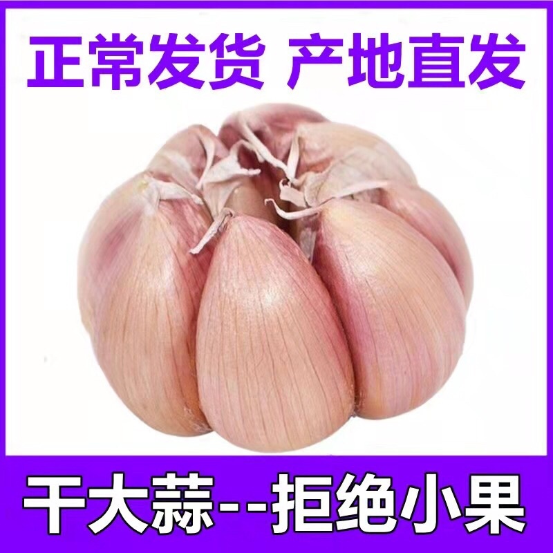 36快10斤干大蒜头农民自种河南开封杞县大蒜新干蒜