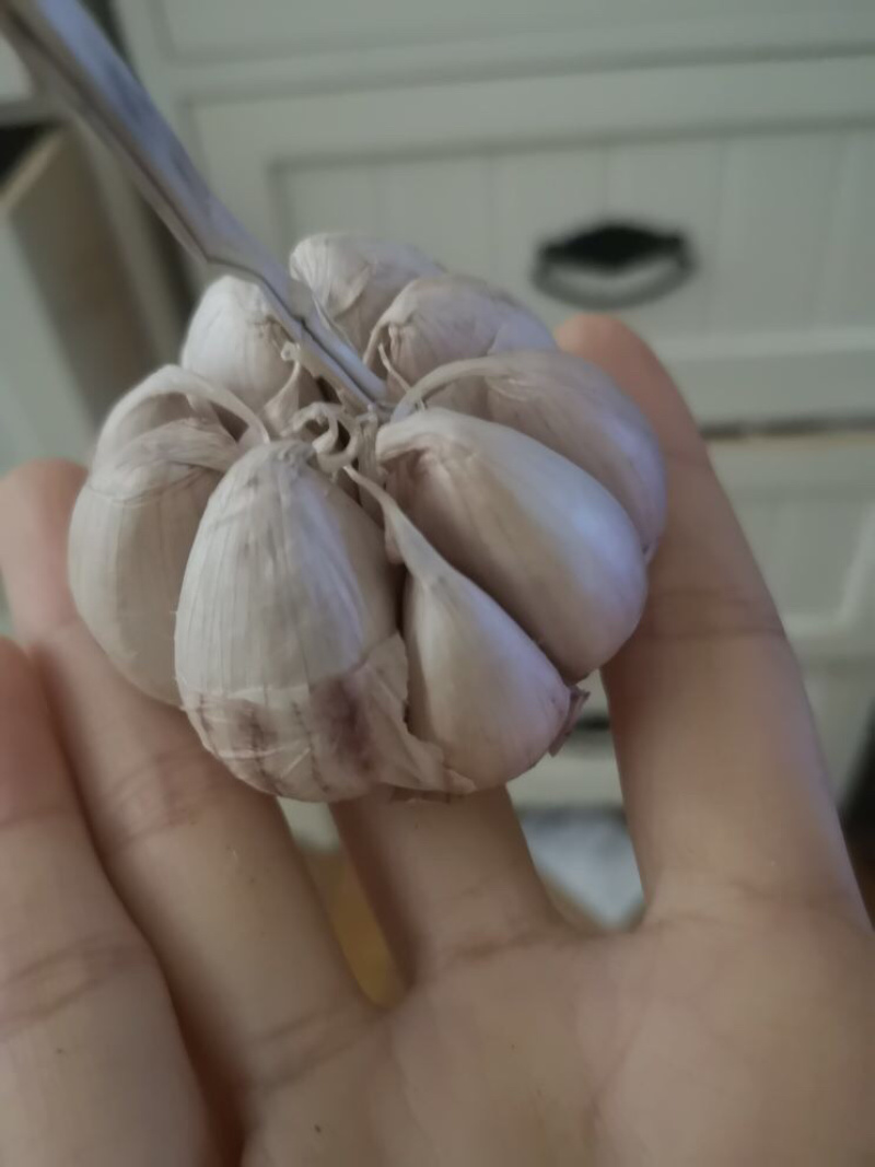 36快10斤干大蒜头农民自种河南开封杞县大蒜新干蒜