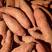 山东红薯精品西瓜红大量上市量大从优价格实惠质量保证