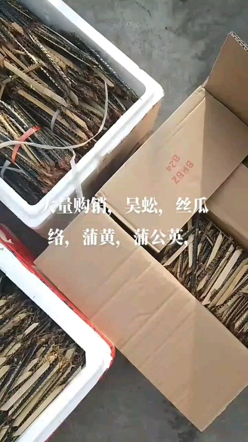 l红头野生蜈蚣，药用干蜈蚣产地直销，没有中间商，四季有货