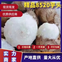 【推荐】山东精品芋头8520芋头一手货源质量保证