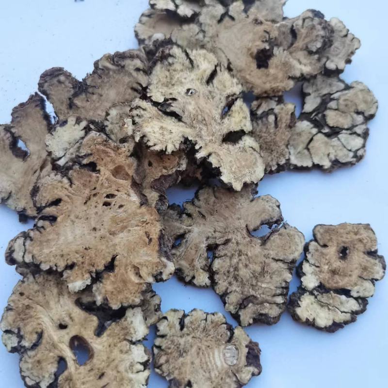 川芎今年新货量大从优