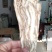 川芎今年新货量大从优