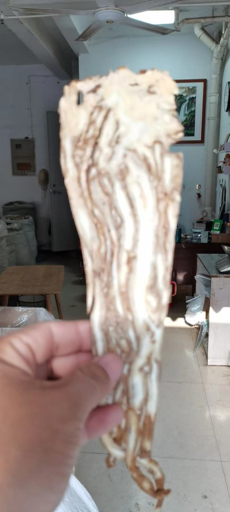 川芎今年新货量大从优