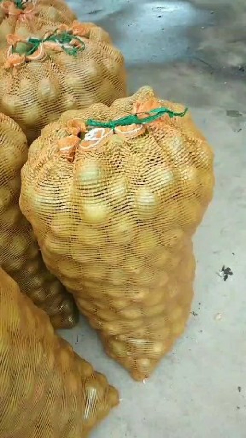 青皮核桃