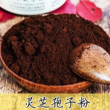 灵芝粉灵芝孢子粉各种规格一件代发大量供应