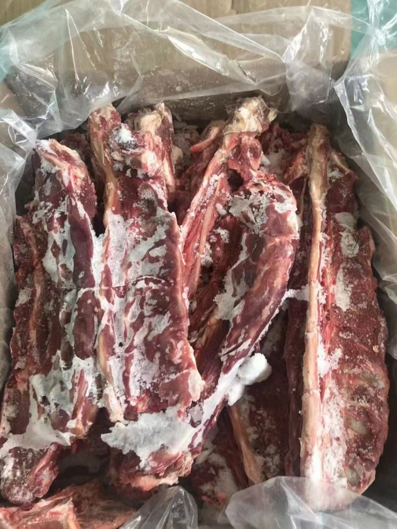 国产大羊羊蝎子每天鲜剃不带胯骨存货的来降低成本。