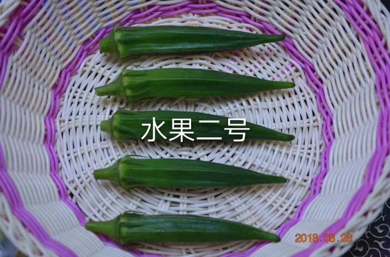 粒粒优选水果二号水果秋葵种子一代杂交基地专用耐老