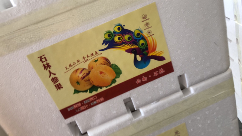 小泡沫箱