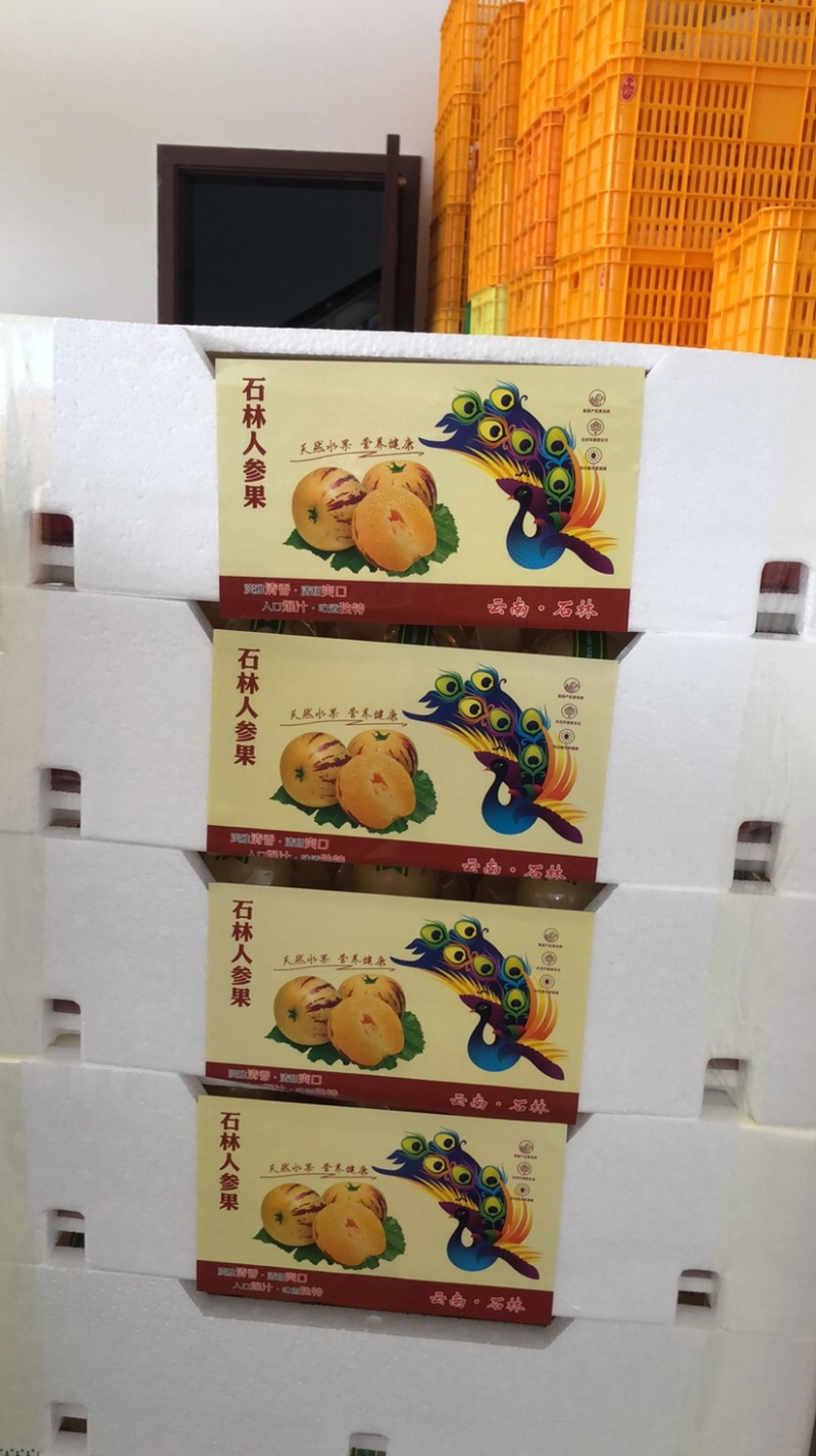 小泡沫箱