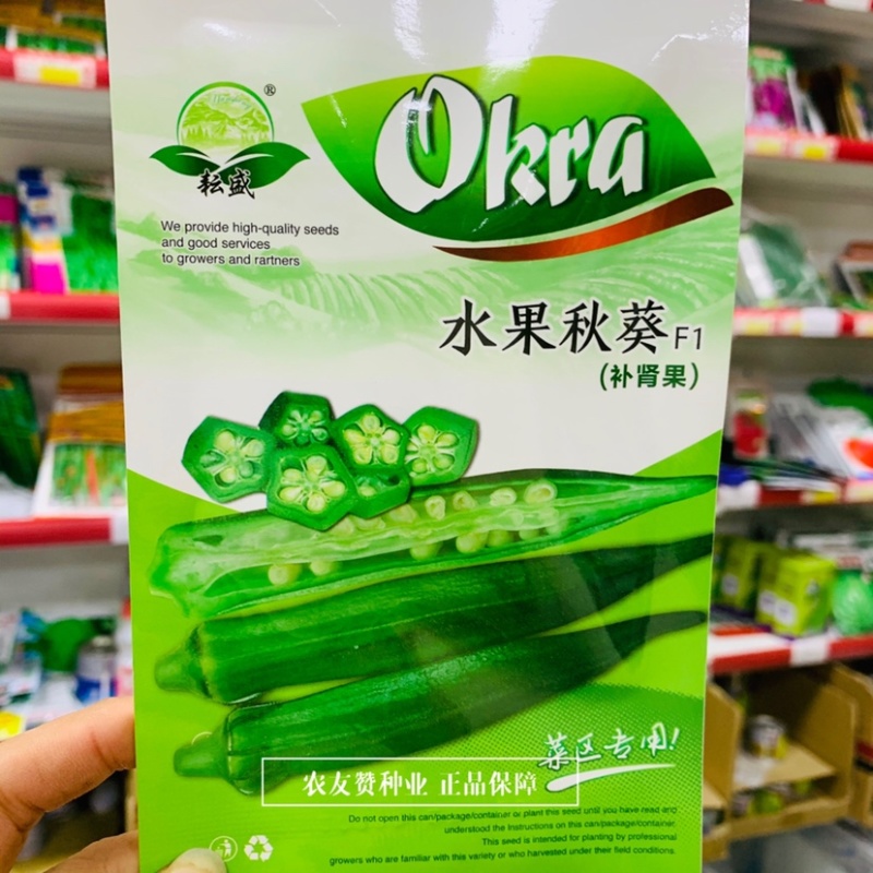 油绿明亮水果秋葵种子补肾果种子一代杂交秋葵保健菜种子