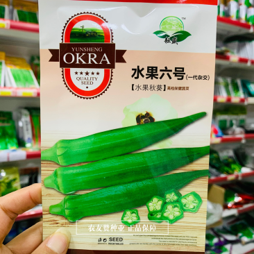 油绿明亮水果秋葵种子补肾果种子一代杂交秋葵保健菜种子