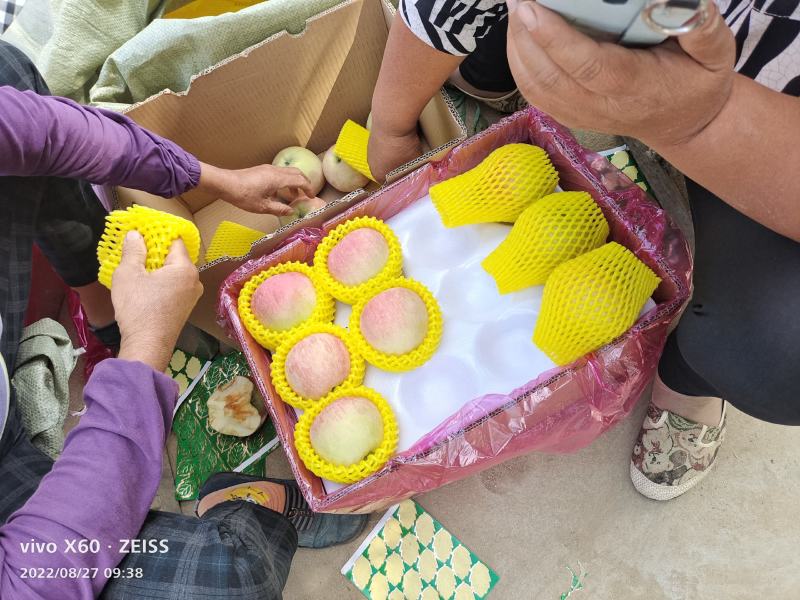 助农水果，乡村特产，电商批发零售，纸袋红星