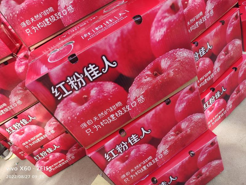 助农水果，乡村特产，电商批发零售，纸袋红星