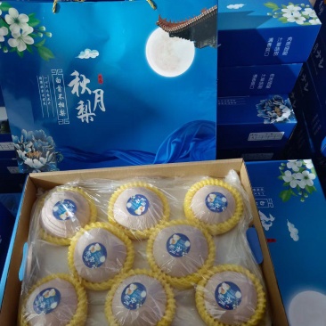 秋月梨，脆甜多汁，自然成熟，货源充足，主产区