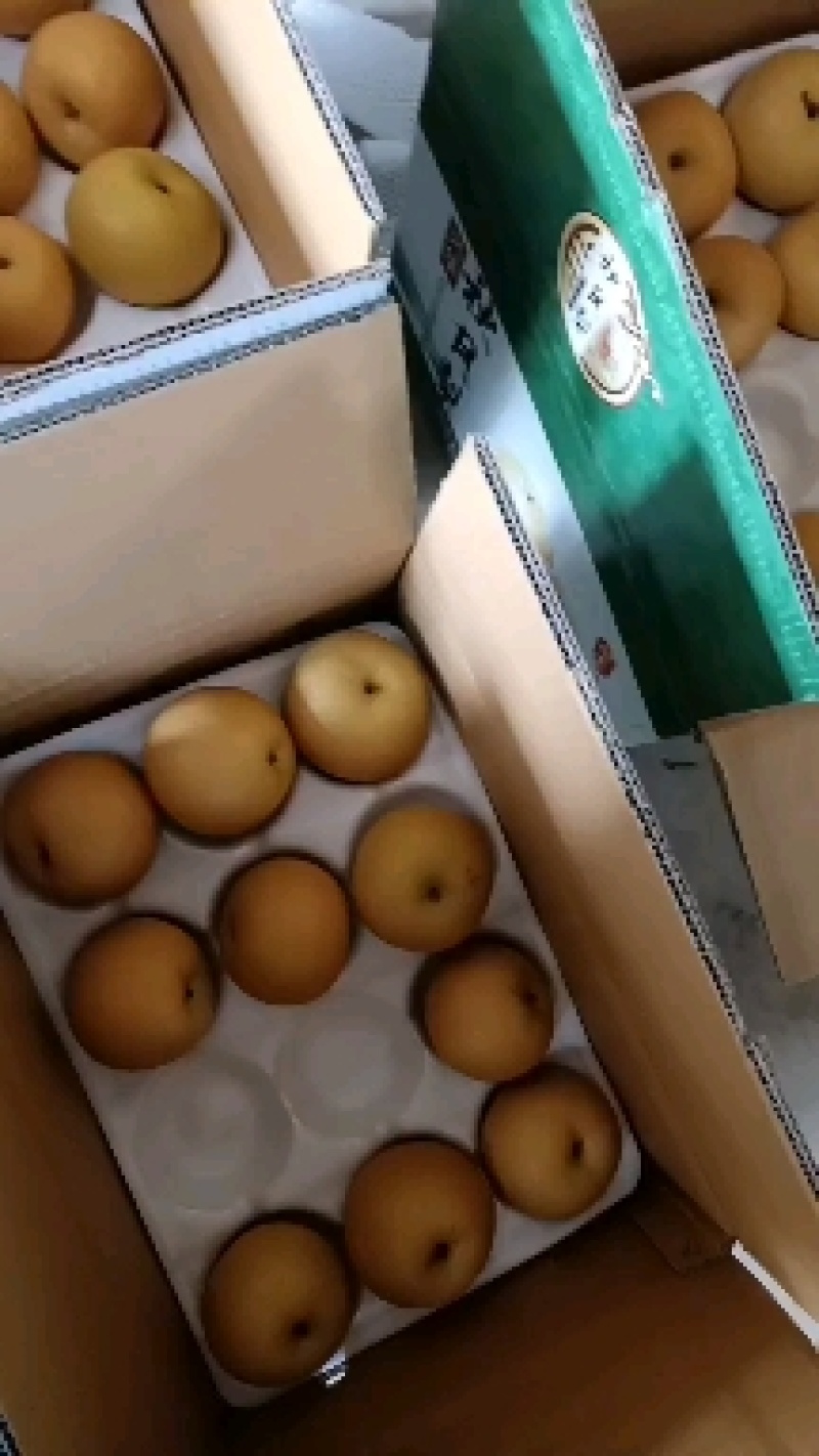 秋月梨，脆甜多汁，自然成熟，货源充足，主产区