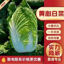 【精品推荐】白菜黄心白菜产地直供商超品质