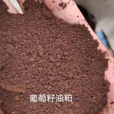 葡萄籽粕蛋白8脂肪6适合反刍家禽